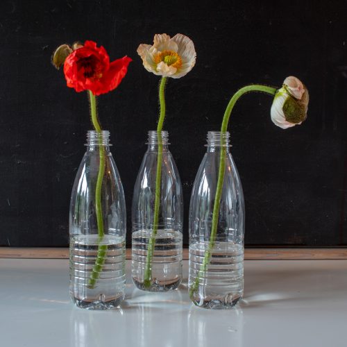 Recycled-bottles